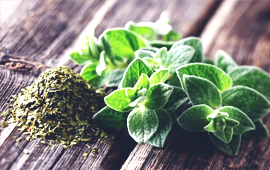 oregano